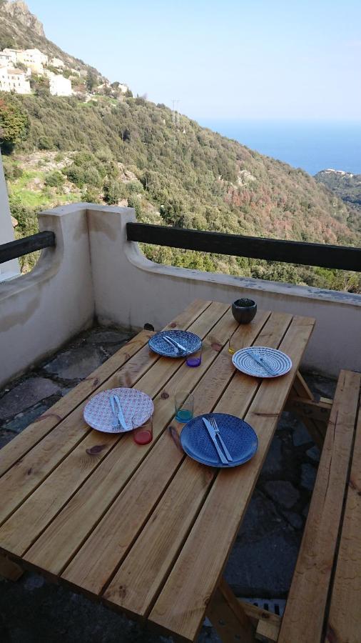 A Tana Di A Volpe Apartment Ville-di-Pietrabugno Bagian luar foto