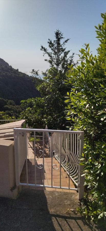 A Tana Di A Volpe Apartment Ville-di-Pietrabugno Bagian luar foto